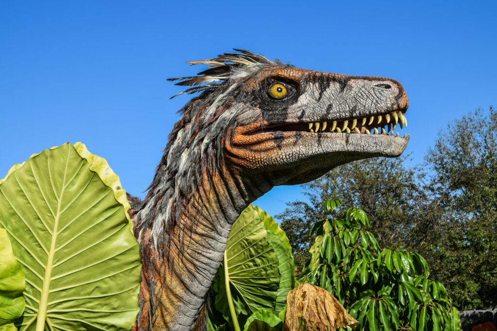 Zoo Tycoon Marine Mania e Dinosaur Digs: Guia Completo